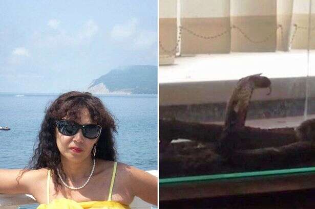 Mulher é picada por cobra durante selfie