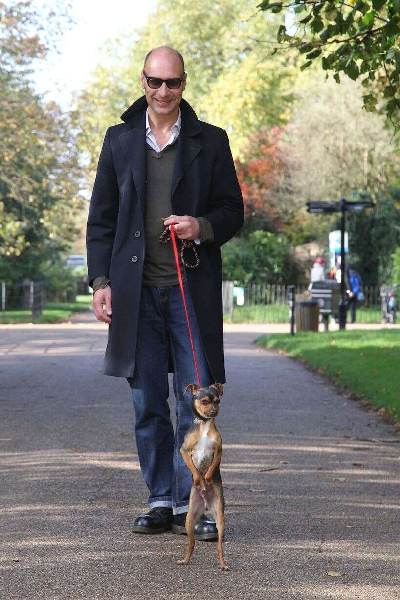 Cãozinho faz sucesso por andar apenas sob as patas traseiras