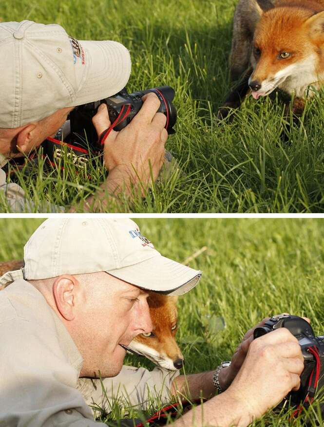 21 animais que acreditam que são fotógrafos