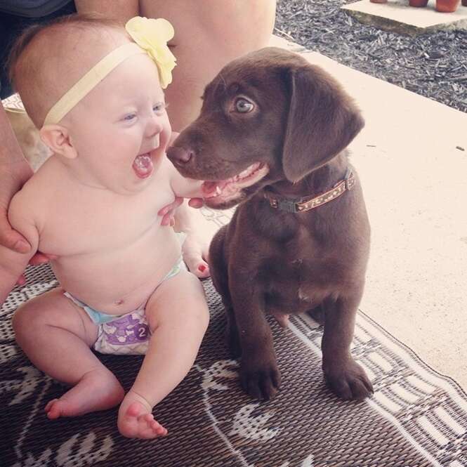 Lindas fotos de bebês com seus cães de estimação