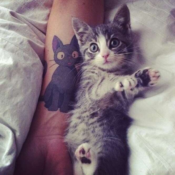 Tatuagens para inspirar quem ama gatos