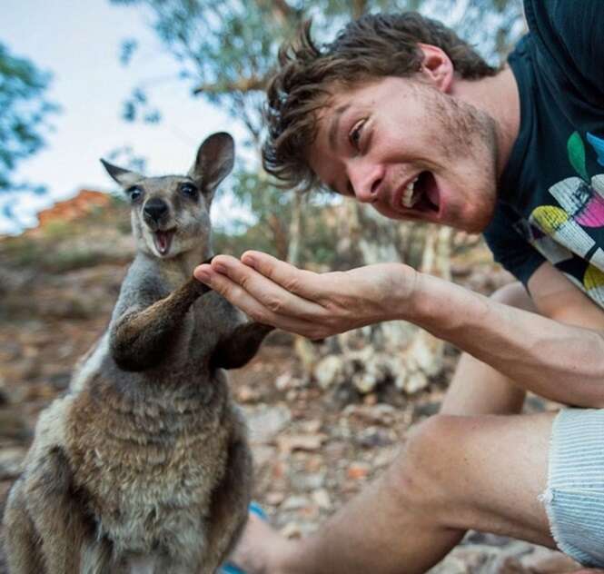 Selfies divertidas de animais com fotógrafo do mundo selvagem