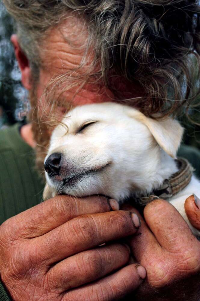 Fotos provando que os cães amam as pessoas independentemente de quanto dinheiro elas têm