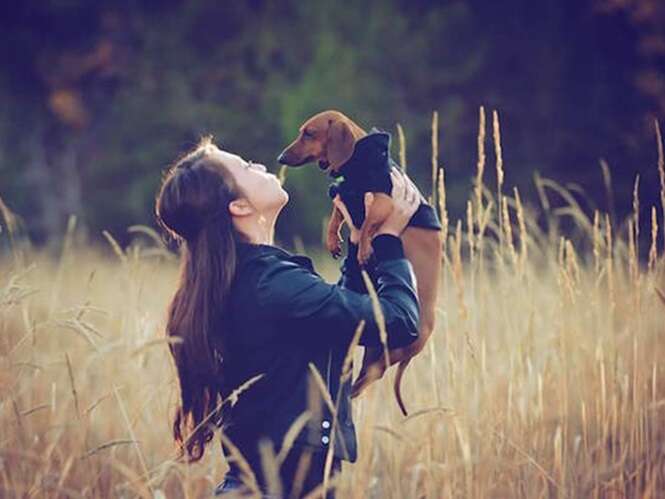 Fotos de cãezinhos que te farão feliz