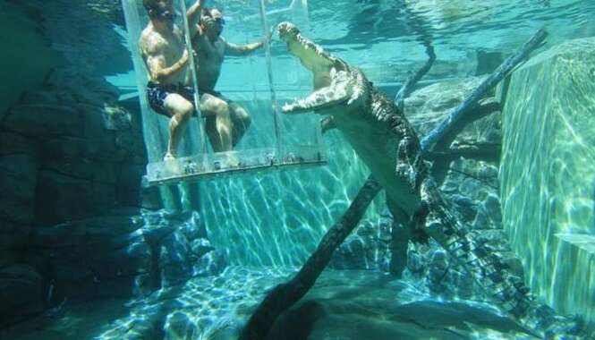 Foto: Crocosaurus Cove Darwin 