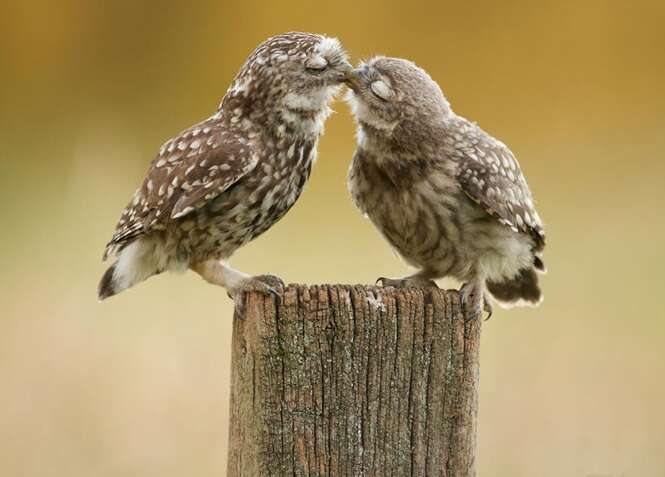 Foto: Mark Bridger