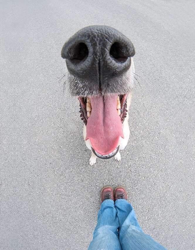 Foto: Elke Vogelsang