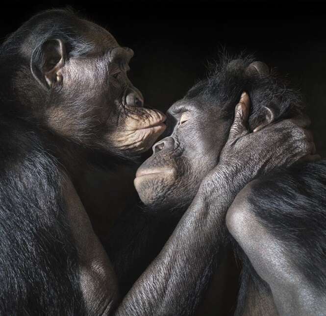 Foto: Tim Flach