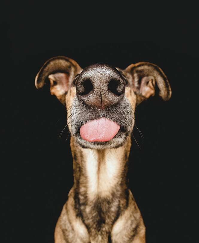 Foto: Elke Vogelsang