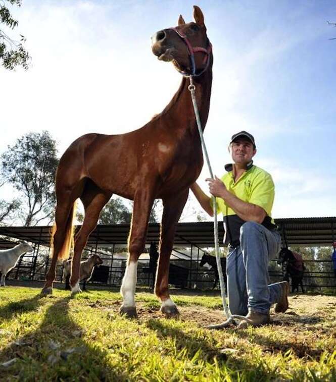 Foto: dailyadvertiser