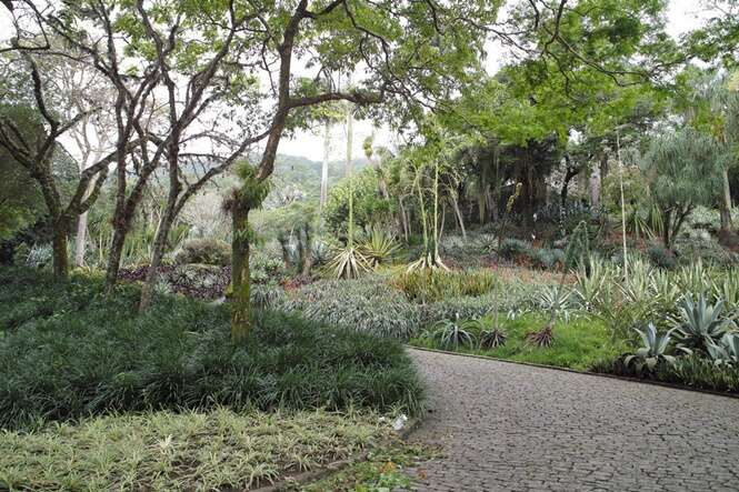 Os mais belos jardins do mundo