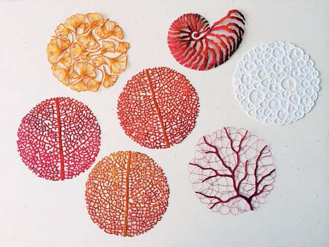 Foto: Meredith Woolnough