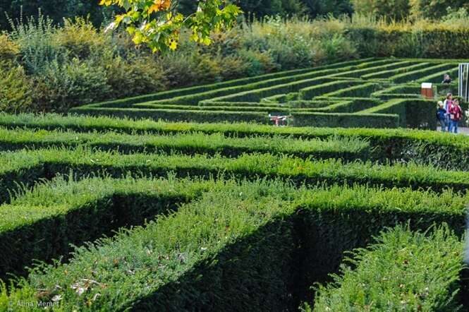 Incríveis jardins em formato de labirinto