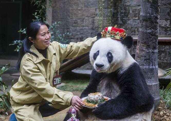 Foto: ChinaPhotoPress