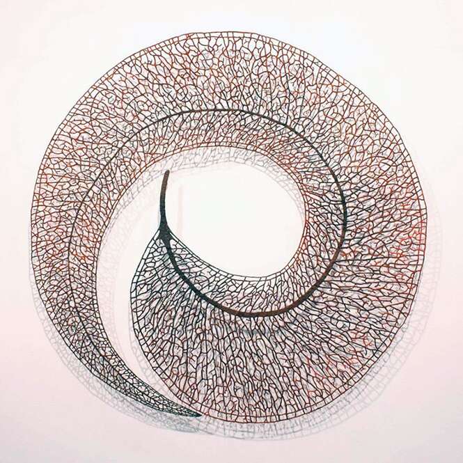 Foto: Meredith Woolnough