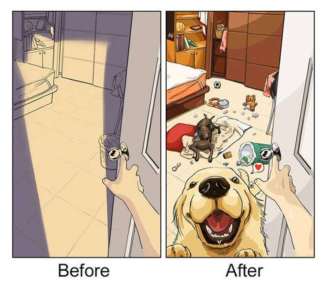 Ilustrações que resumem a vida antes e depois de ter cão de estimação