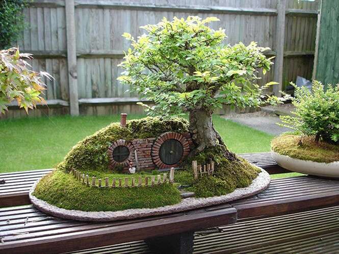 Incríveis árvores Bonsai