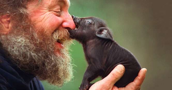 Fotos emocionantes mostrando o amor humano pelos animais