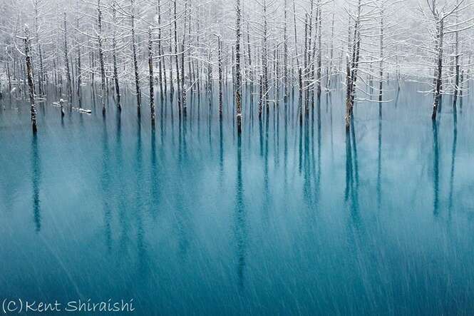 Foto: Kent Shiraishi