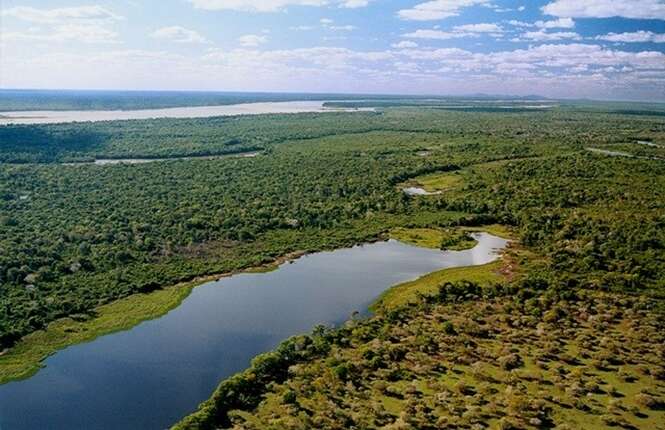 Foto: Portal do Tocantins