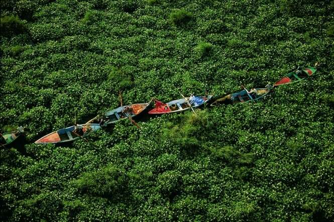 Foto: © Yann Arthus-Bertrand