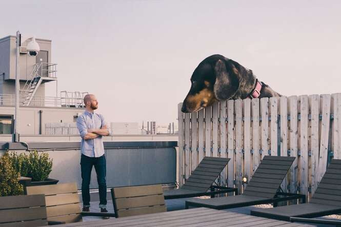 Dono cria fotos divertidas com seu cão “gigante”