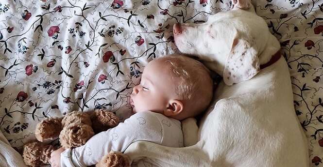 Série de fotos de cão e bebê dormindo juntos vai derreter seu coração