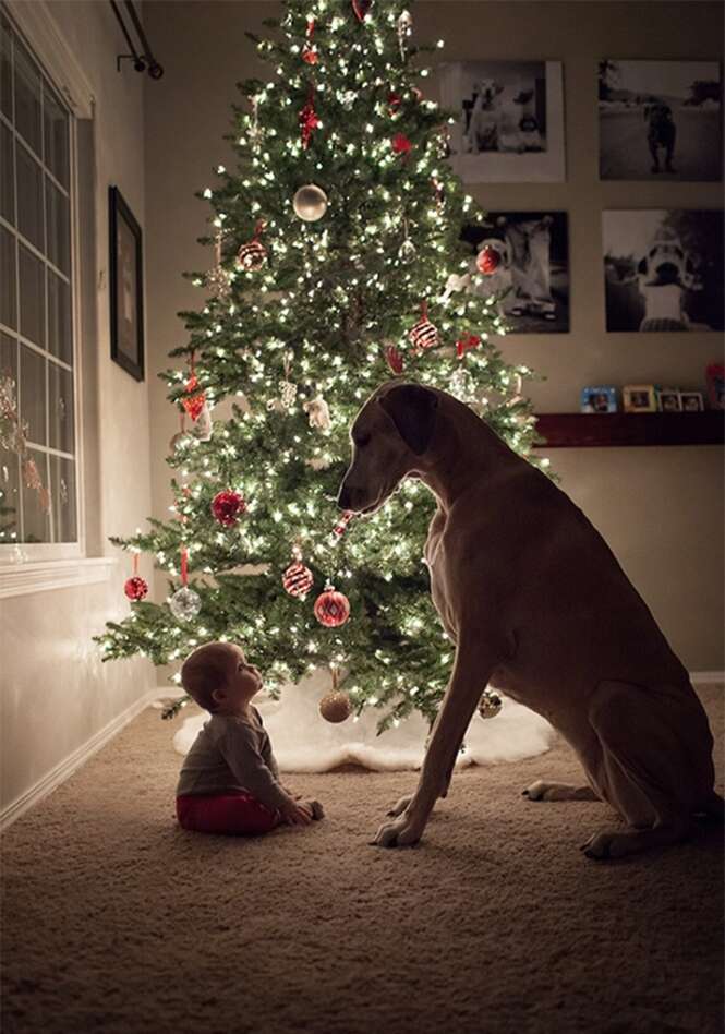 Crianças pequeninas com seus cães monstruosos