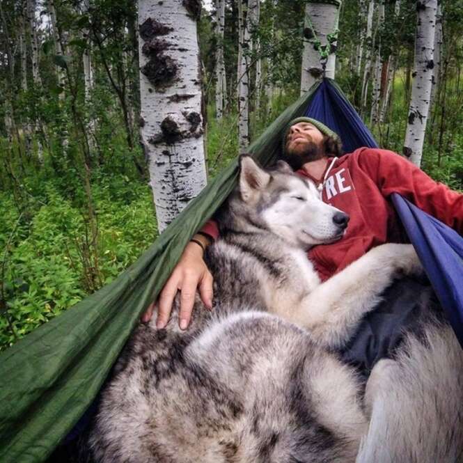 Foto: ©loki_the_wolfdog