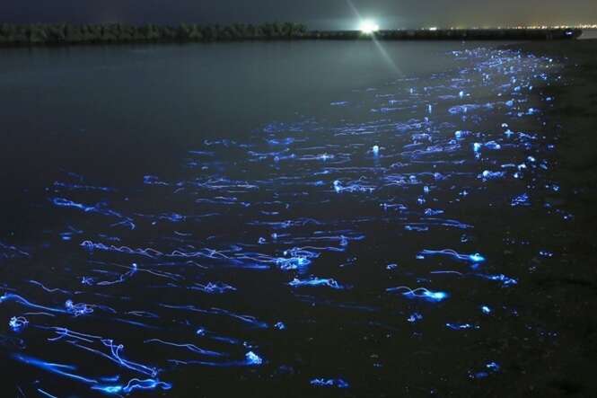 Foto: © Takehito Miyatake