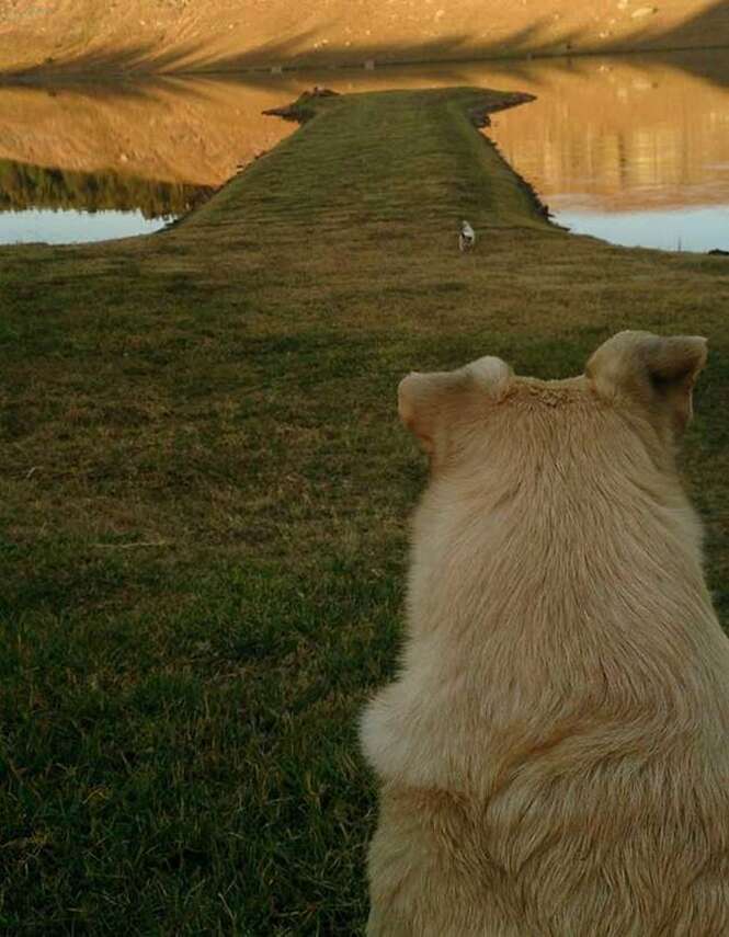 Foto: Tudo Interessante