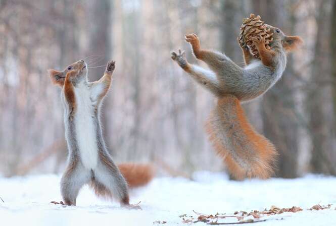 Foto: © Vadim Trunov