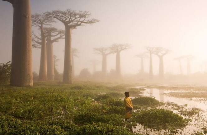 Foto: © Marsel Van Oosten