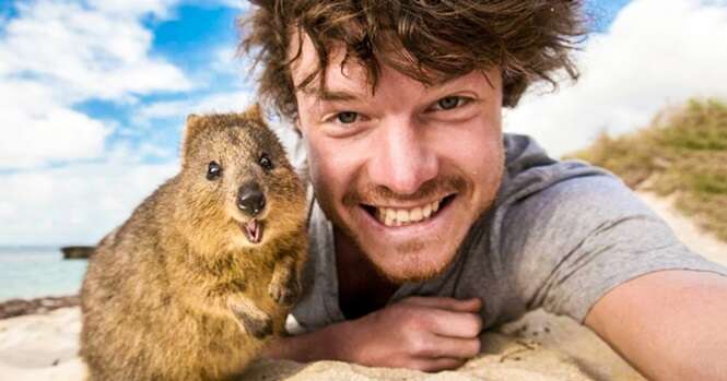 Esse cara é mestre em fazer selfies legais com animais