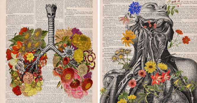 Ilustrações florais da anatomia humana dão vida a velhos livros descartados