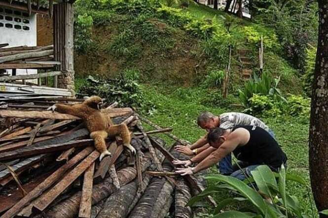 Foto: Tudo Interessante