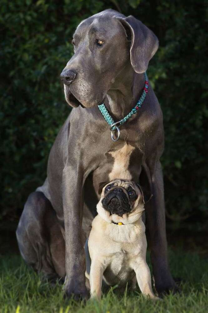 Foto: Tudo Interessante