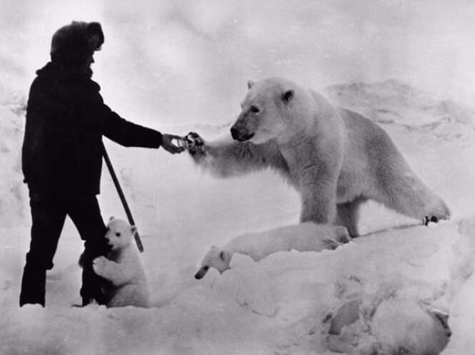 Fotos raras e histórias que vão tirar o seu fôlego