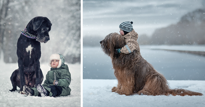 Fotos adoráveis de crianças pequenas e seus cães grandes