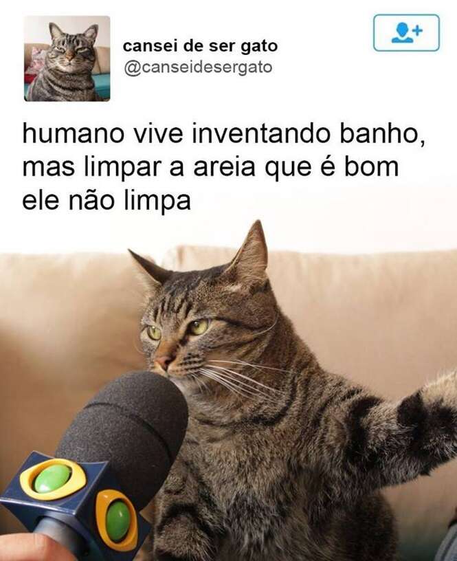 Foto: Tudo Interessante