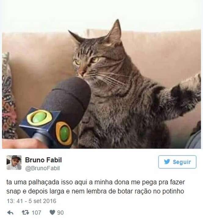 Foto: Tudo Interessante