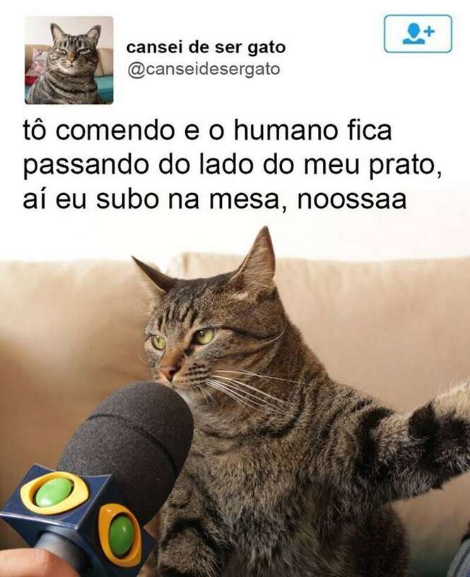 Foto: Tudo Interessante