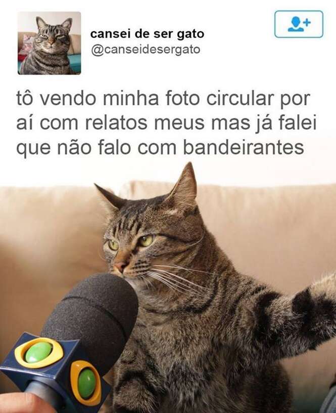 Foto: Tudo Interessante