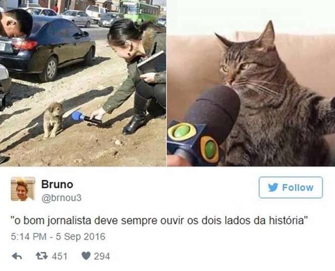 Foto: Tudo Interessante