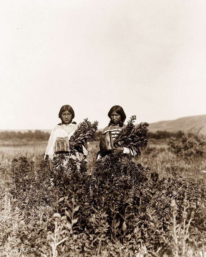 Foto: Edward S. Curtis