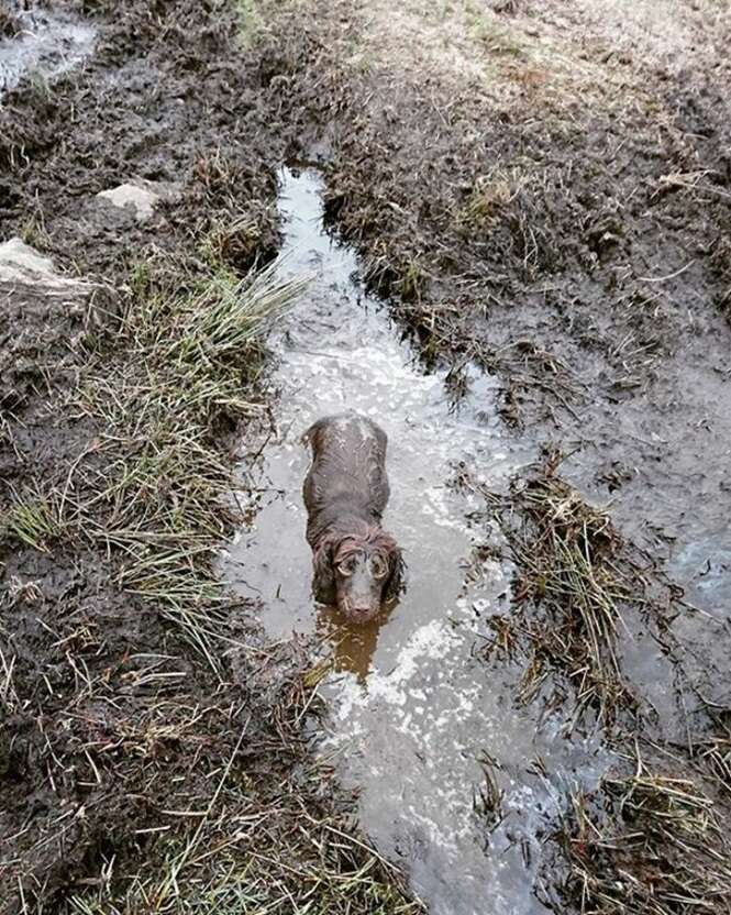 Foto: Tudo Interessante