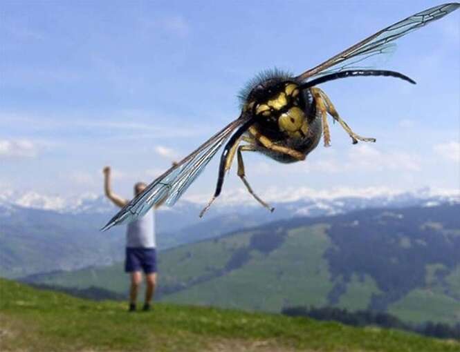 Foto: Tudo Interessante