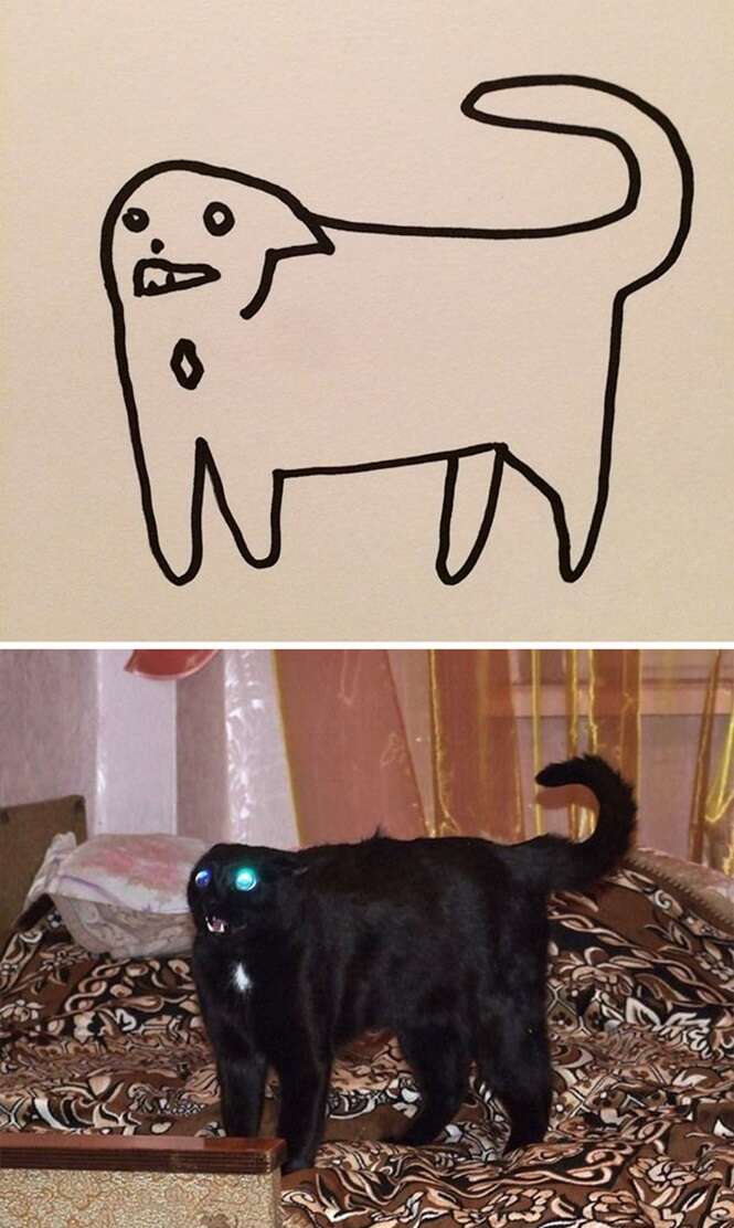 Foto: Poorly Cat Draw