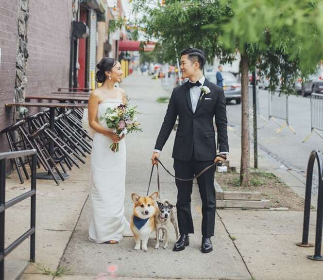 Fotos de casais que encontraram formas divertidas de incluírem seus cães em seu casamento